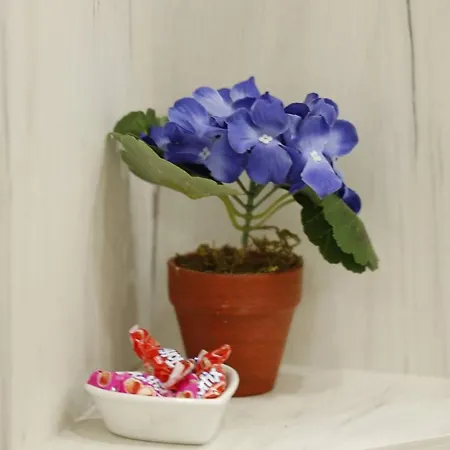 Alexandar * Podgorica