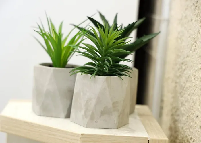 Alexandar Apartment Podgorica