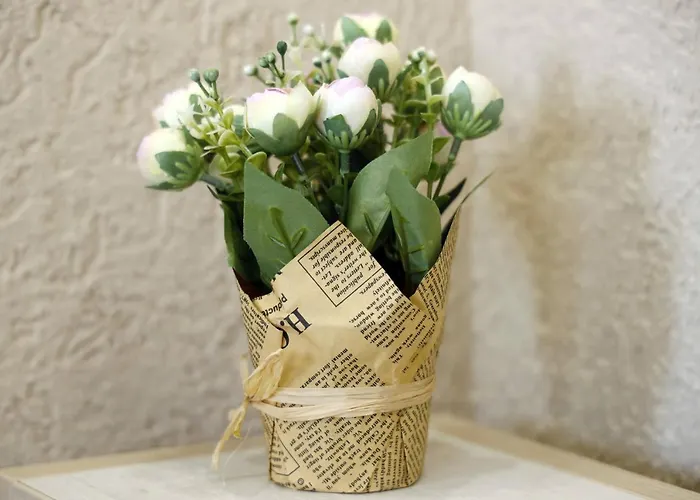 公寓 Alexandar 波德戈里察