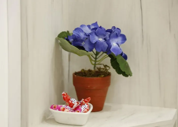 Alexandar * 波德戈里察